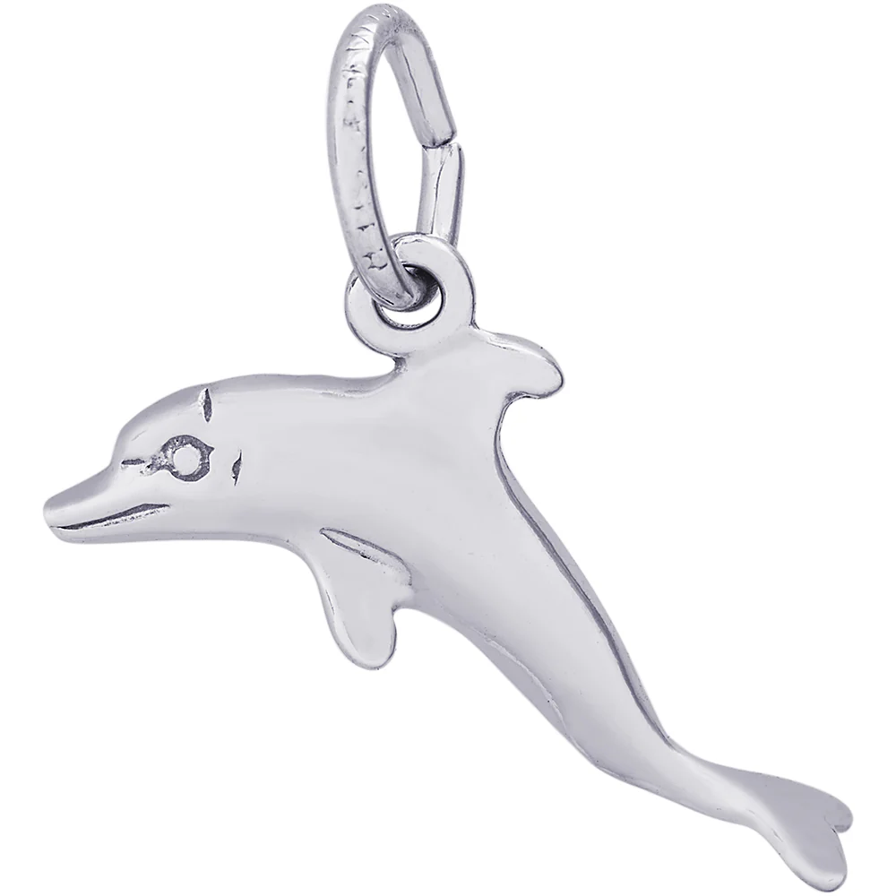 Dolphin Charm