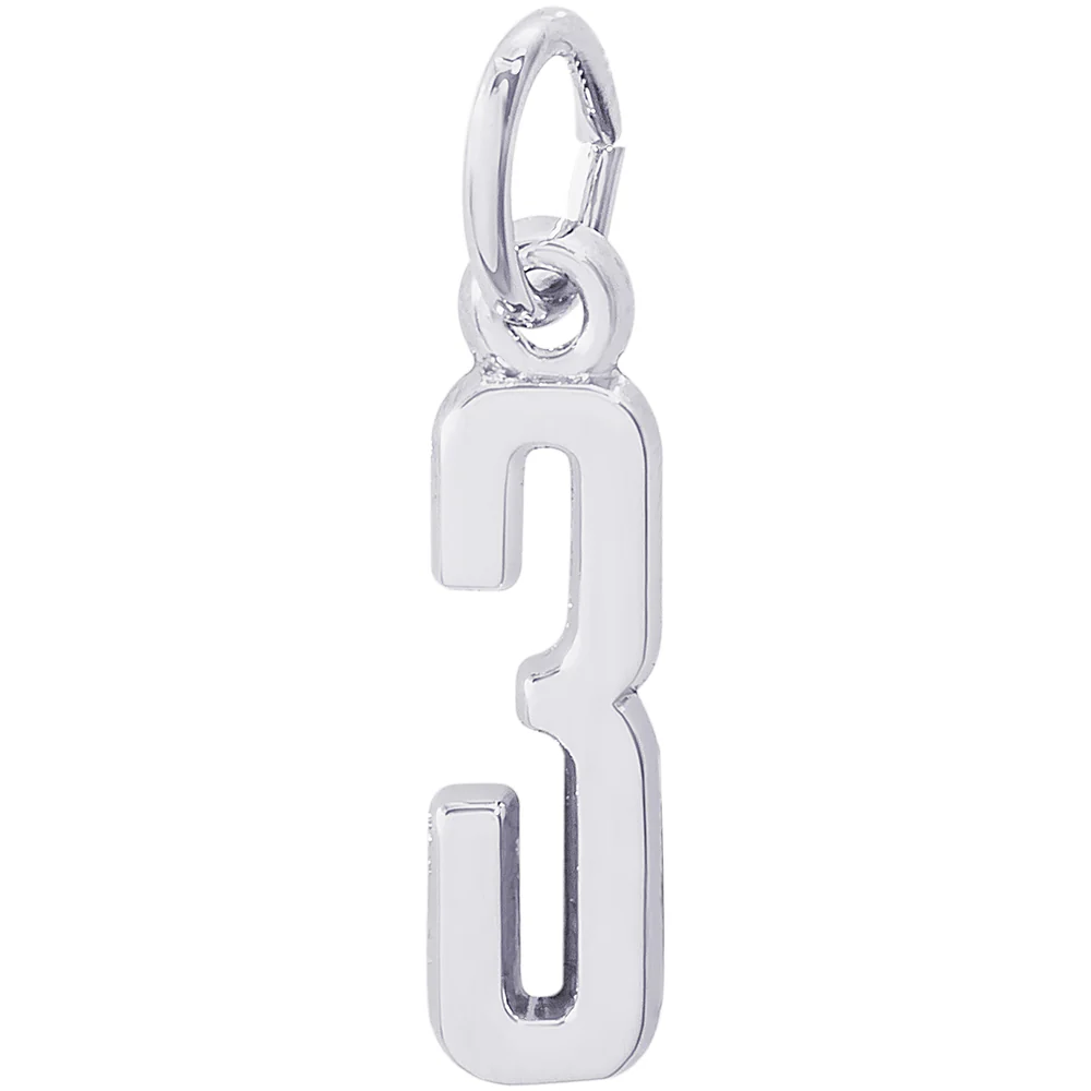 Rembrandt 3 Charm