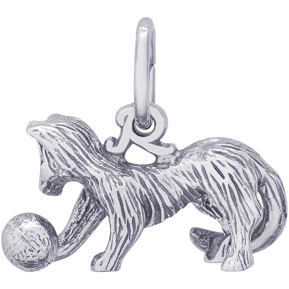 Rembrandt Cat Charm