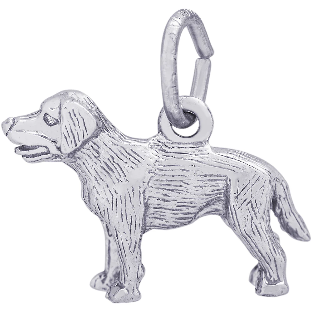 Rembrandt Dog Charm