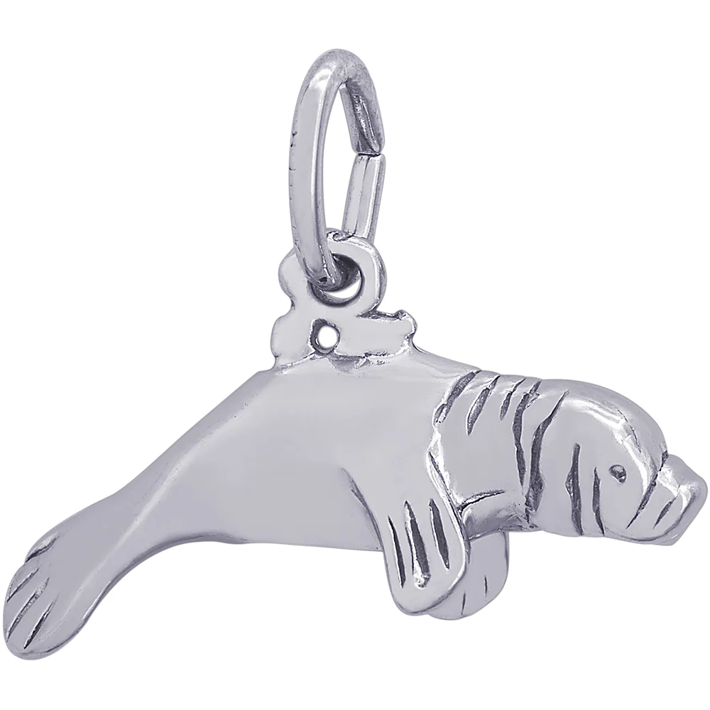 Rembrandt Manatee Charm