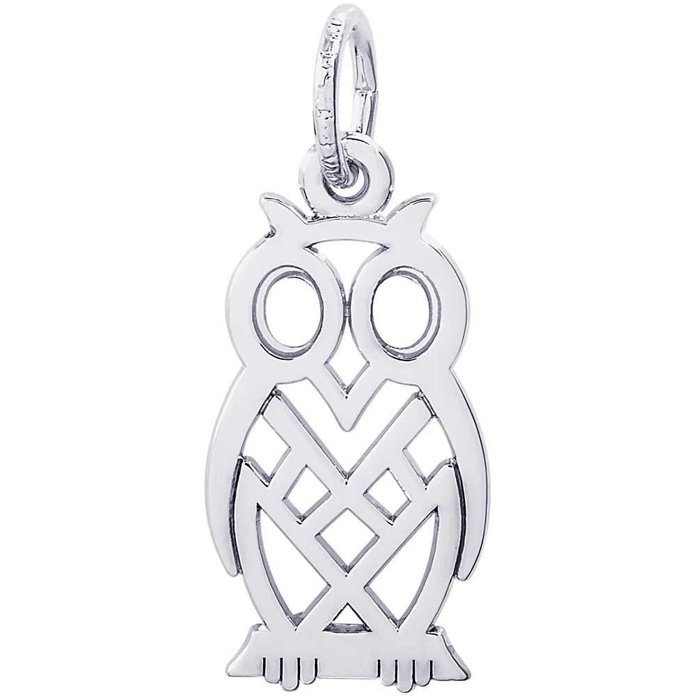 Rembrandt Owl Charm