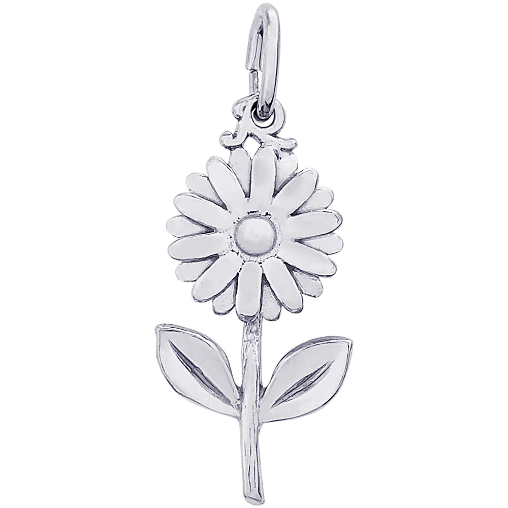 Silver Charm