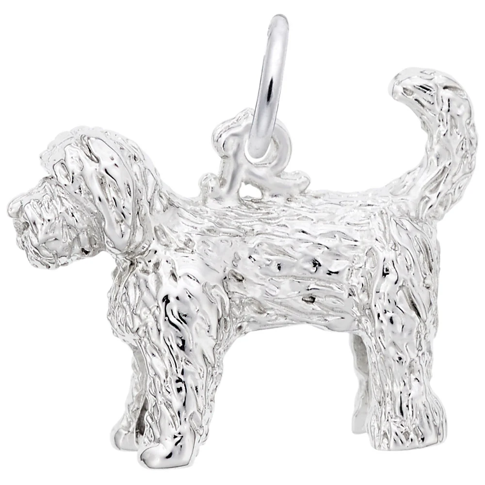 Silver Charm