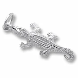 Silver Charm